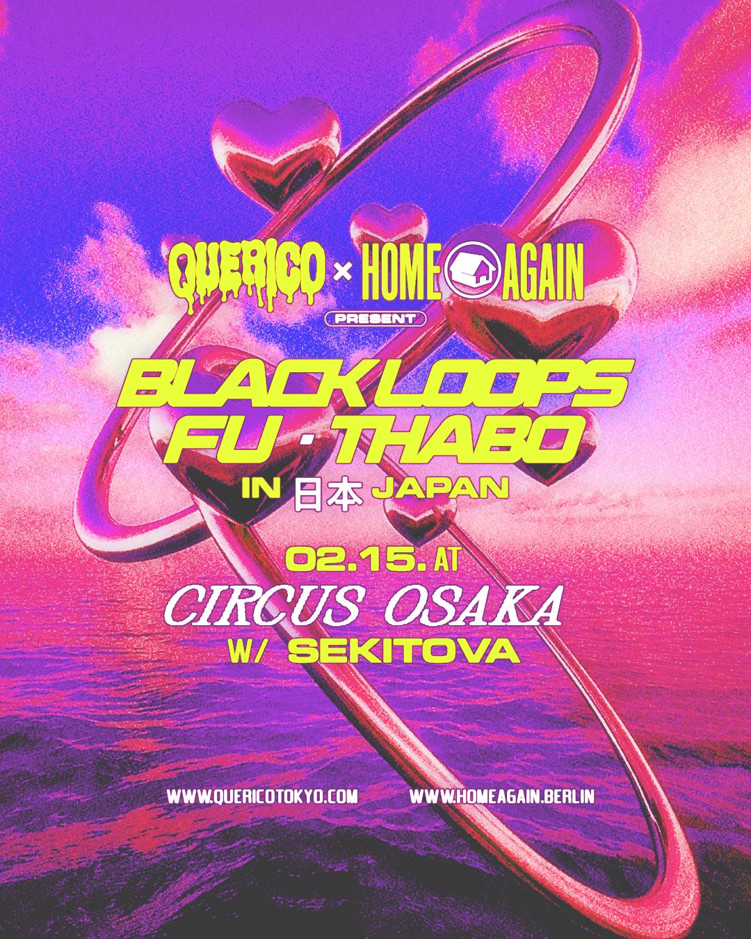 Home Again X Querico Pres. Black Loops