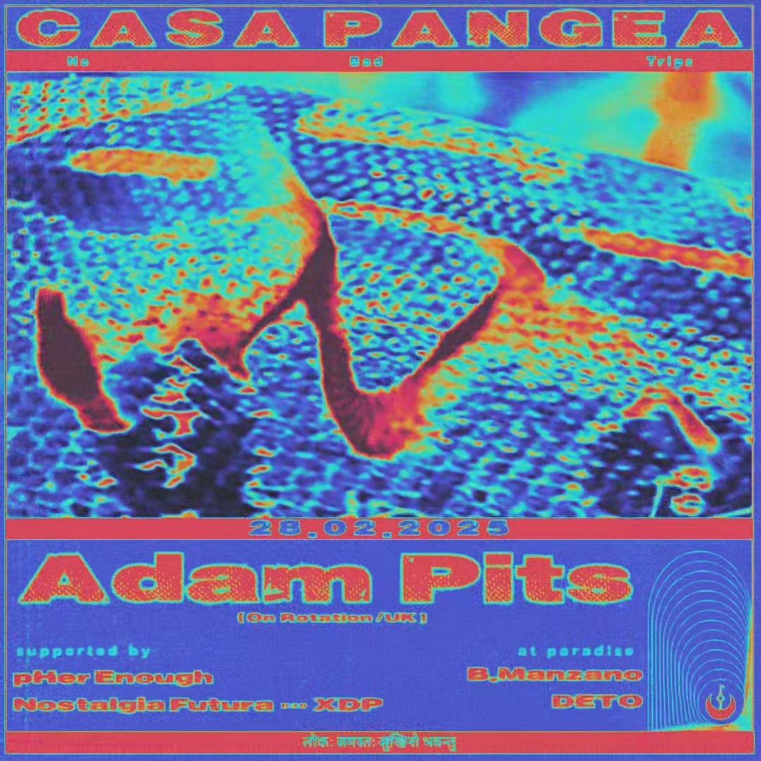 Casa Pangea X Adam Pits