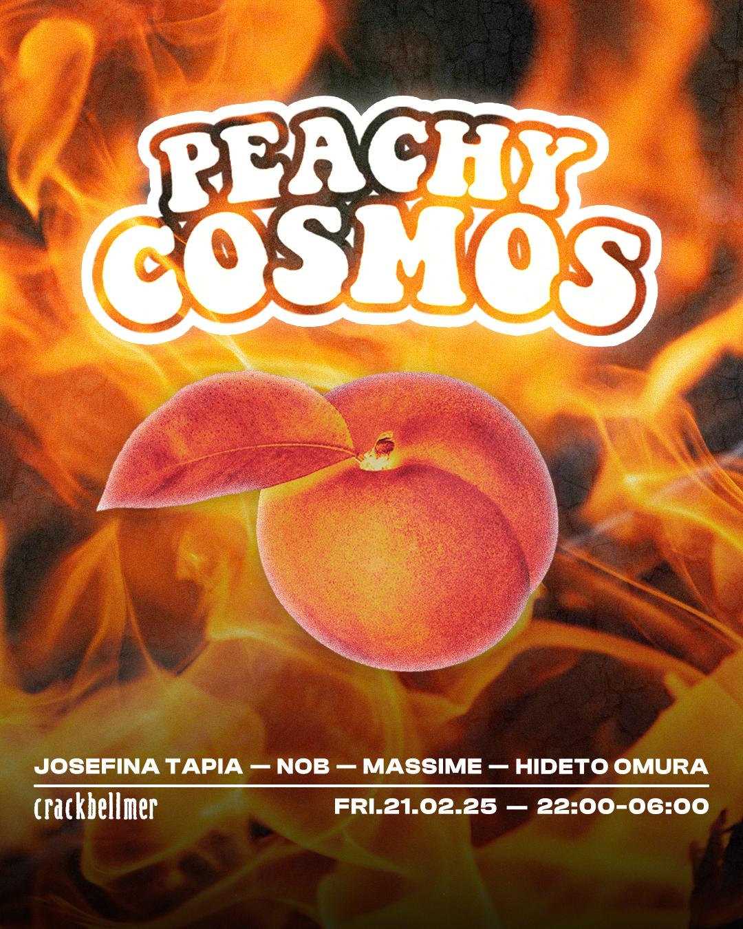 Peachy Cosmos Vol.13