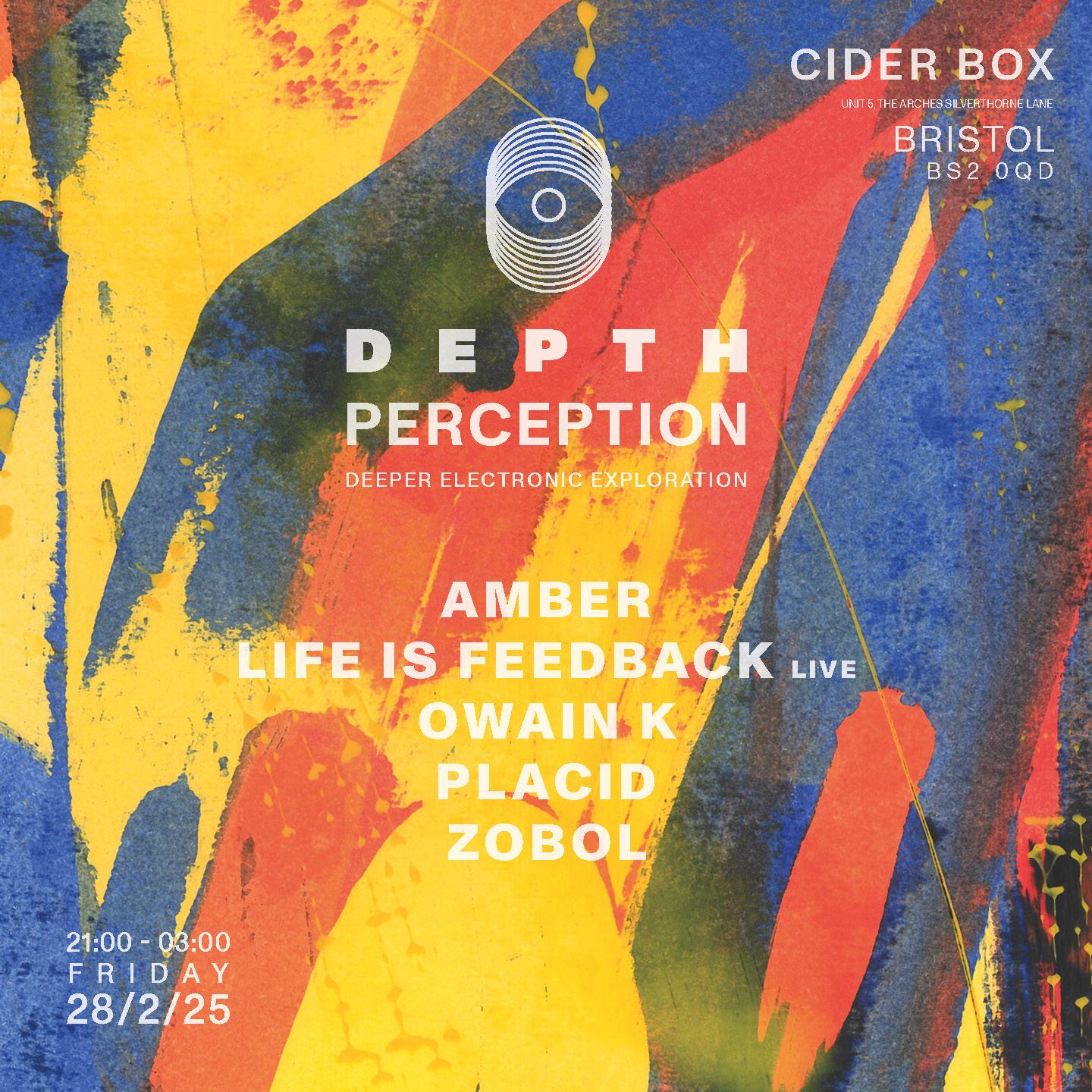 Depth Perception With Amber, Life Is Feedback (Live)