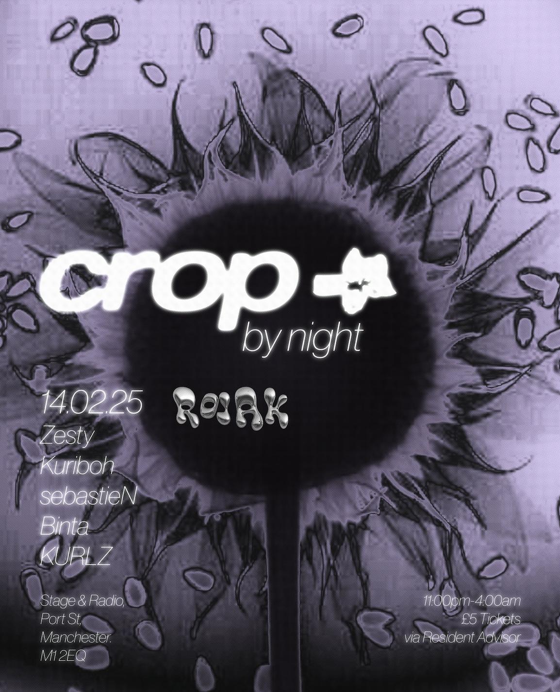 Crop By Night W/ Rojak