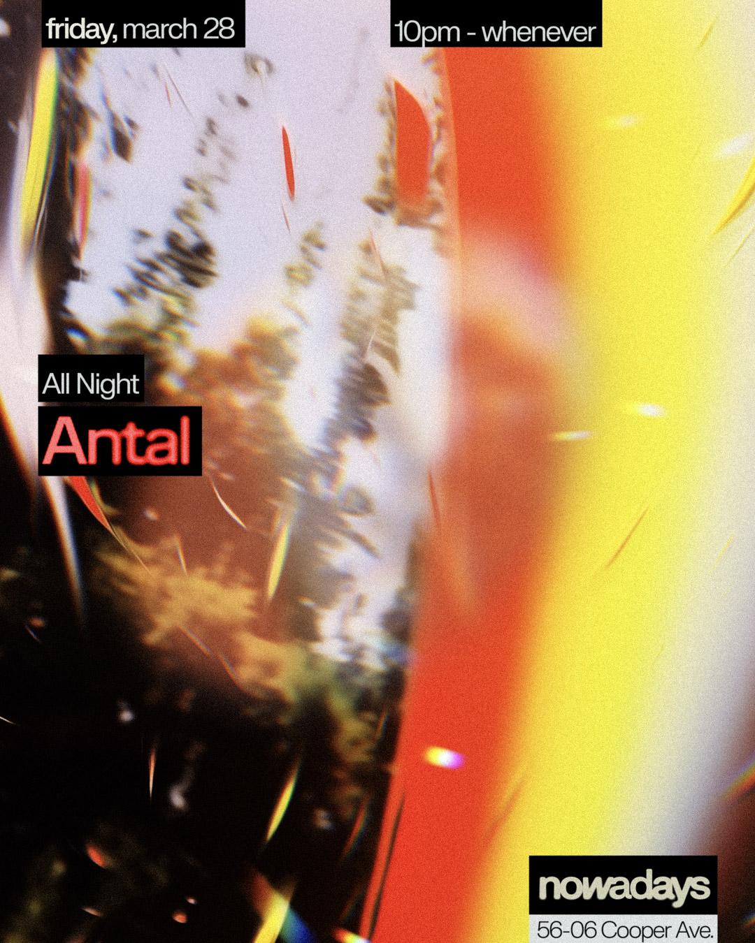 Antal All Night