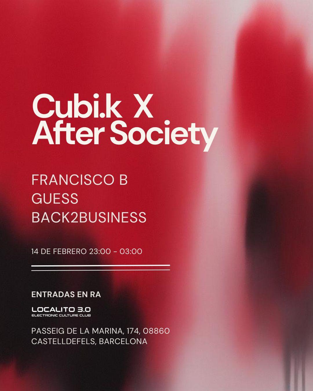 Cubi-K X After Society