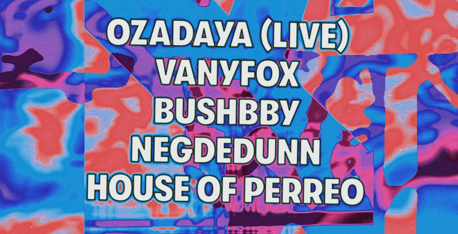 Motel X Ozadya (Live), Bushbby, Vanyfox