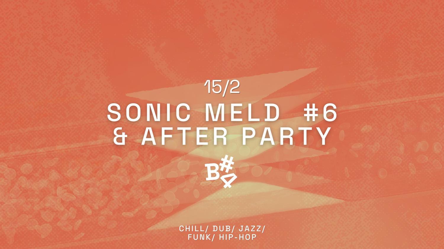 Sonic Meld Session 6