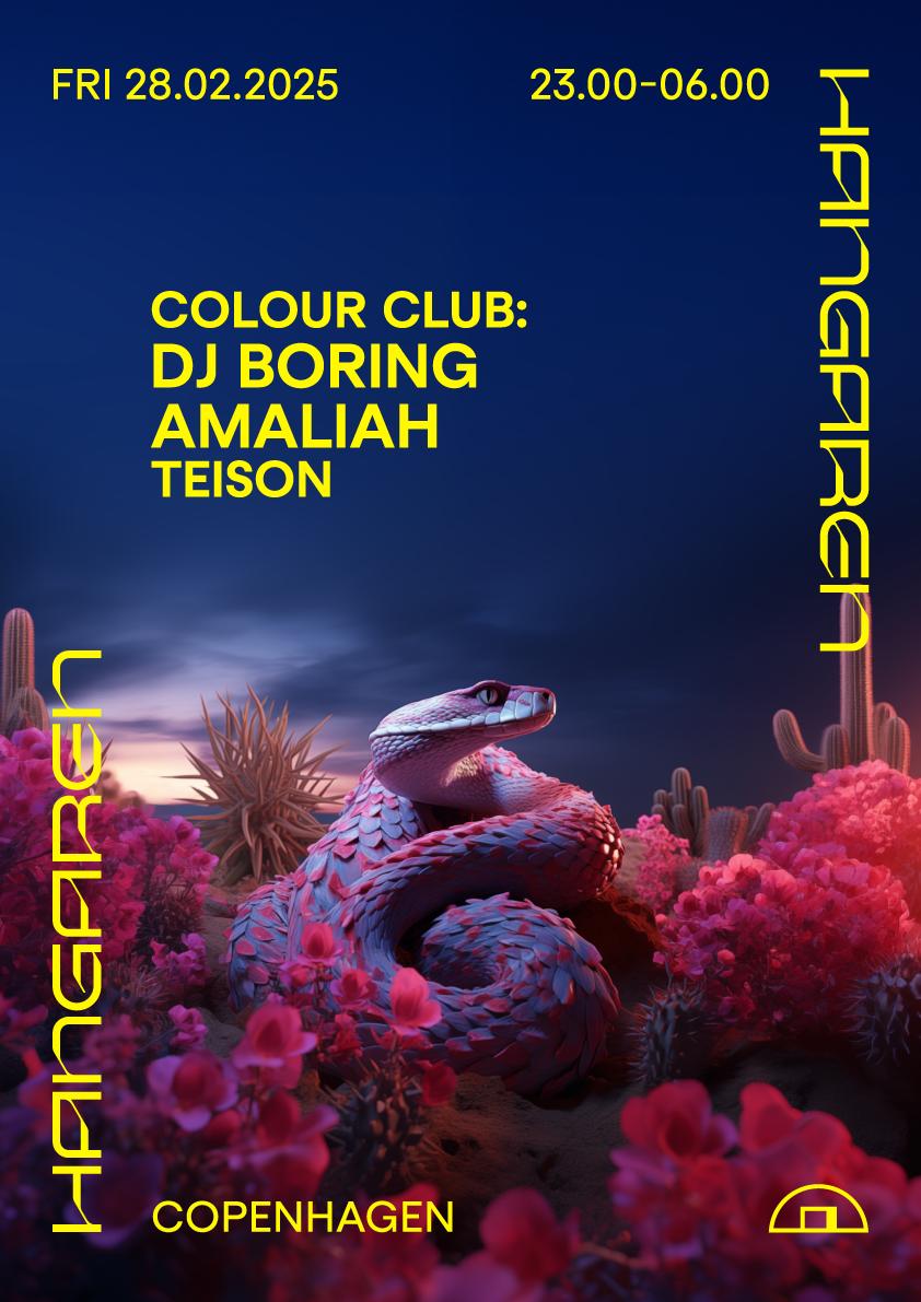 Dj Boring Presents Colour Club: Dj Boring, Amaliah, Teison