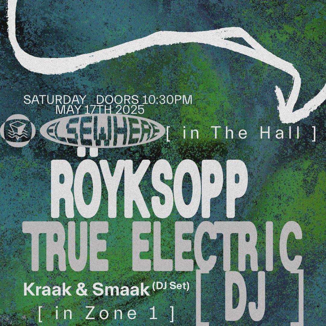 Röyksopp - True Electric (Dj), Kraak & Smaak (Dj Set)