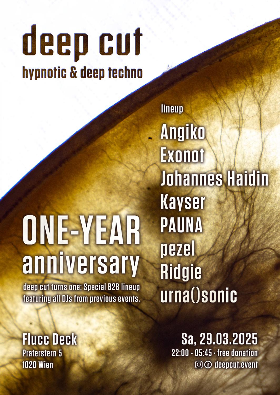 Deep Cut - One-Year Anniversary - Hypnotic And Deep Techno