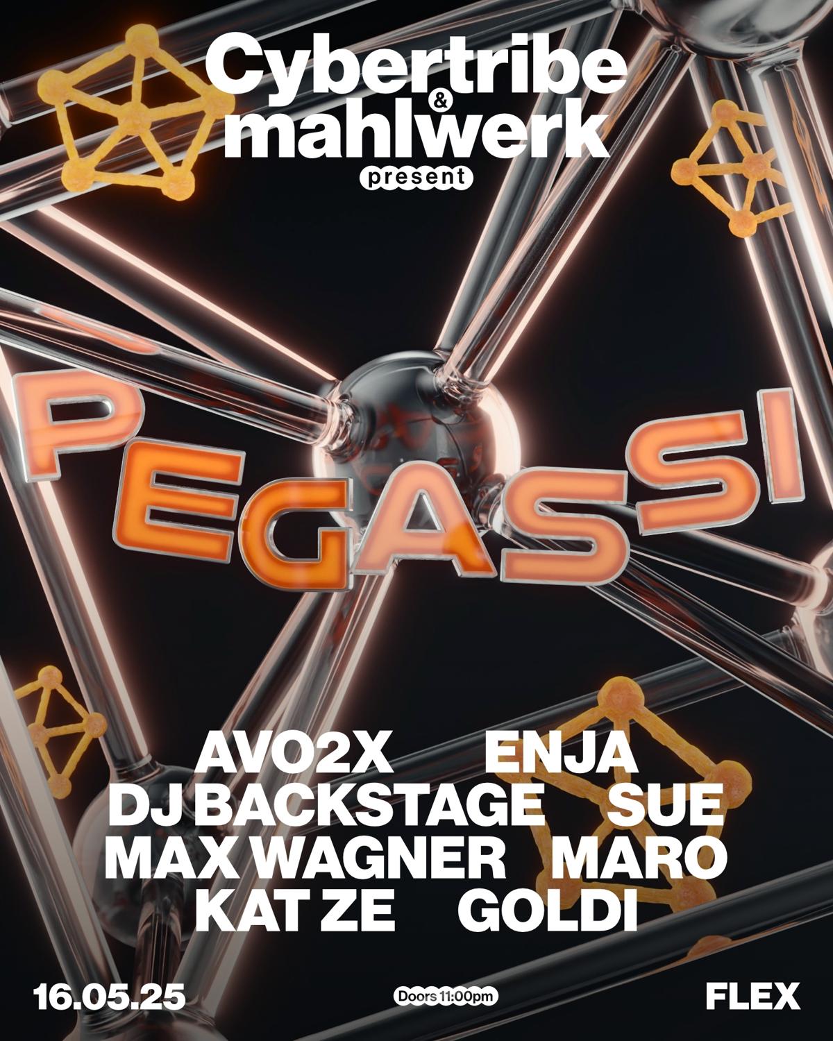 Cybertribe & Mahlwerk Pres. Pegassi