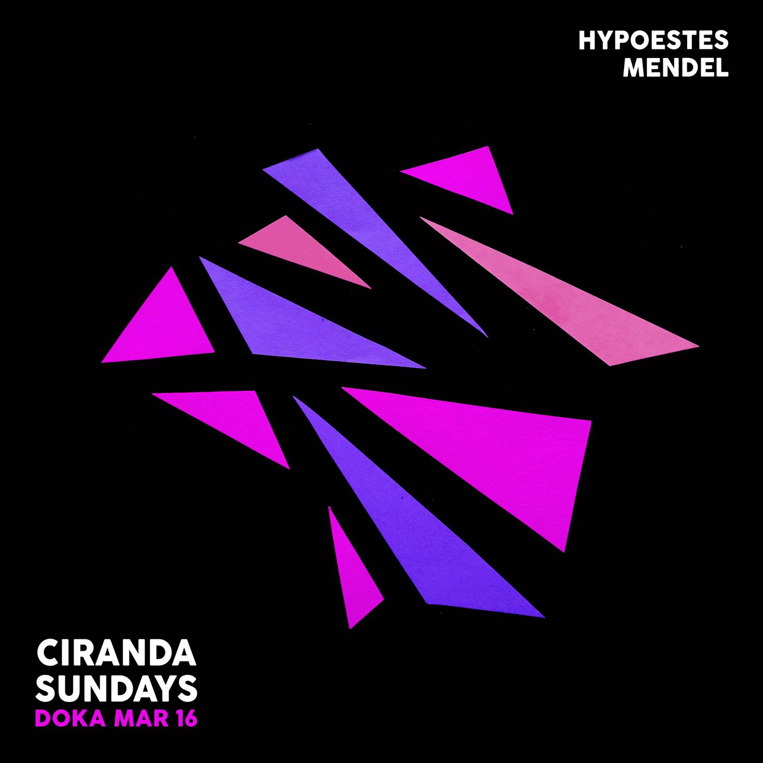 Ciranda Sundays X Doka Studio With Mendel - Hypoestes