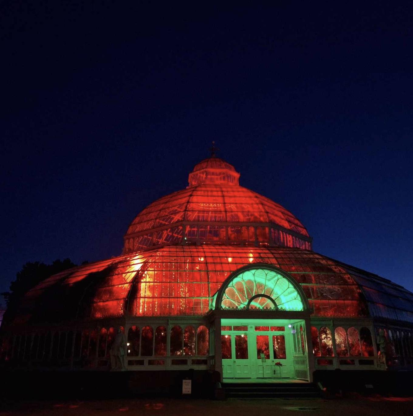 Ellie Sax Live In The Palm House