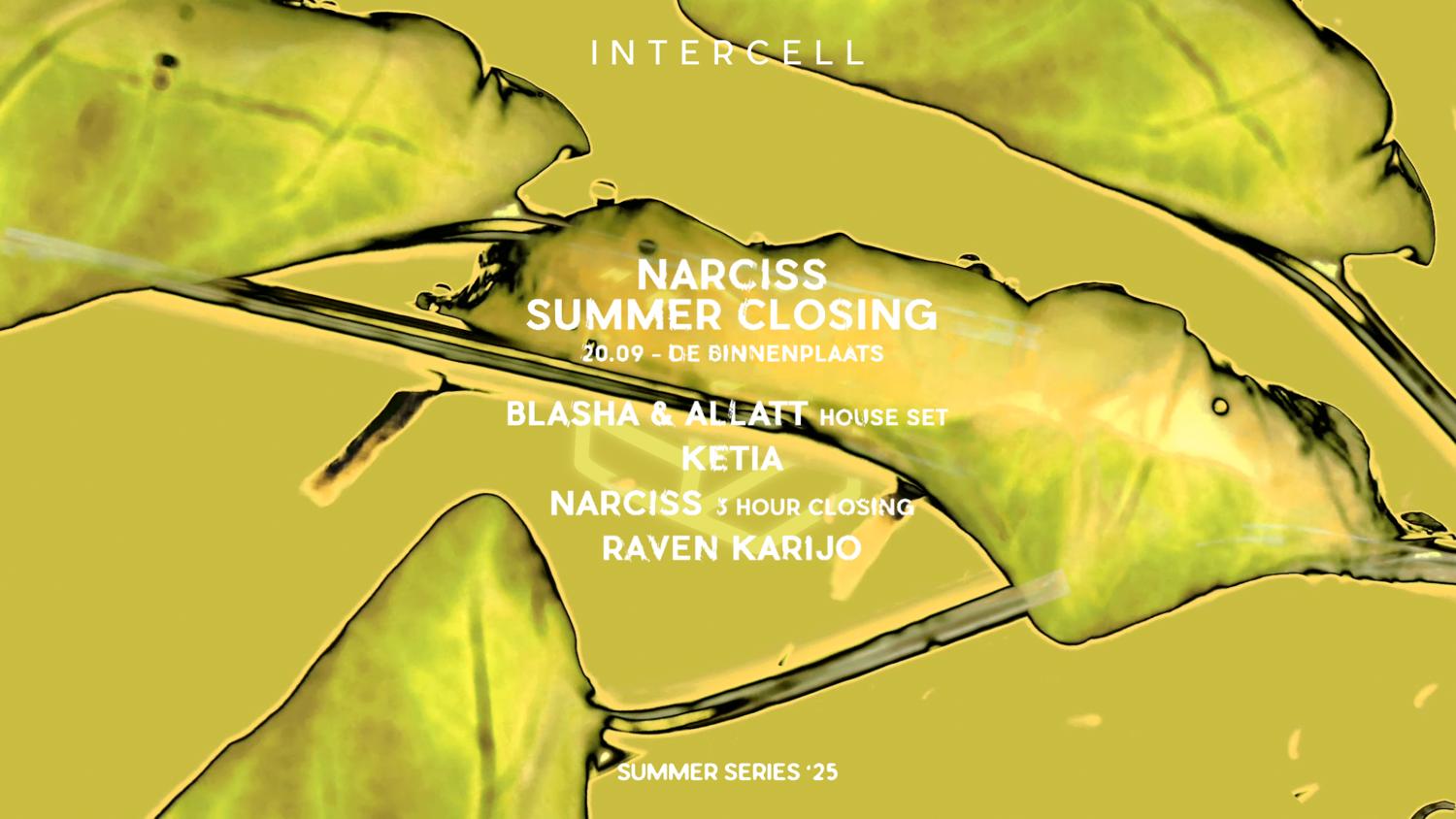 Intercell Outdoor X Narciss - Summer Closing