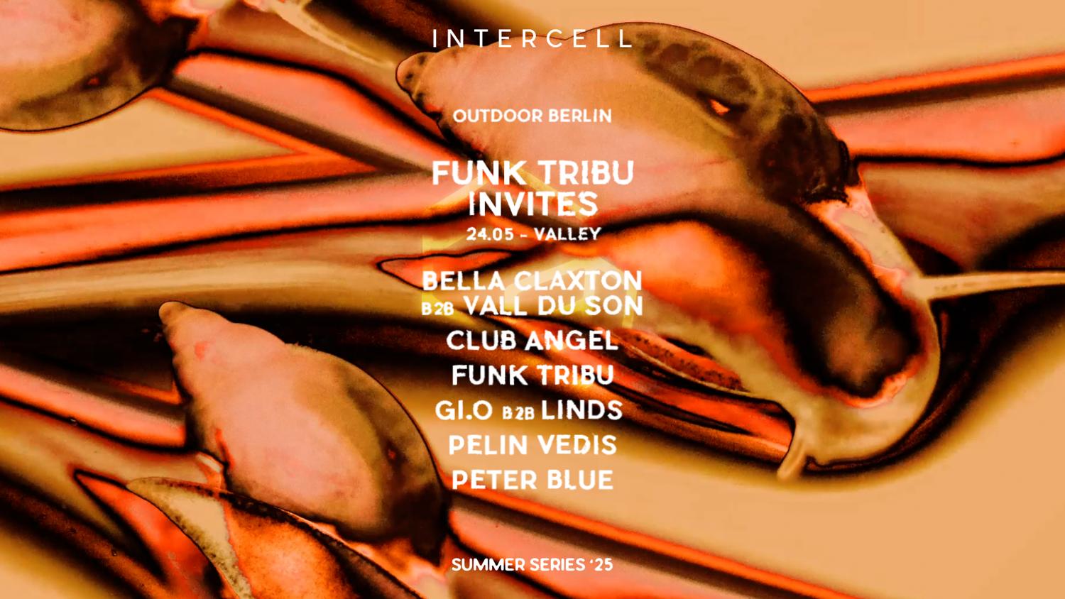 Intercell Outdoor X Funk Tribu Invites - Valley