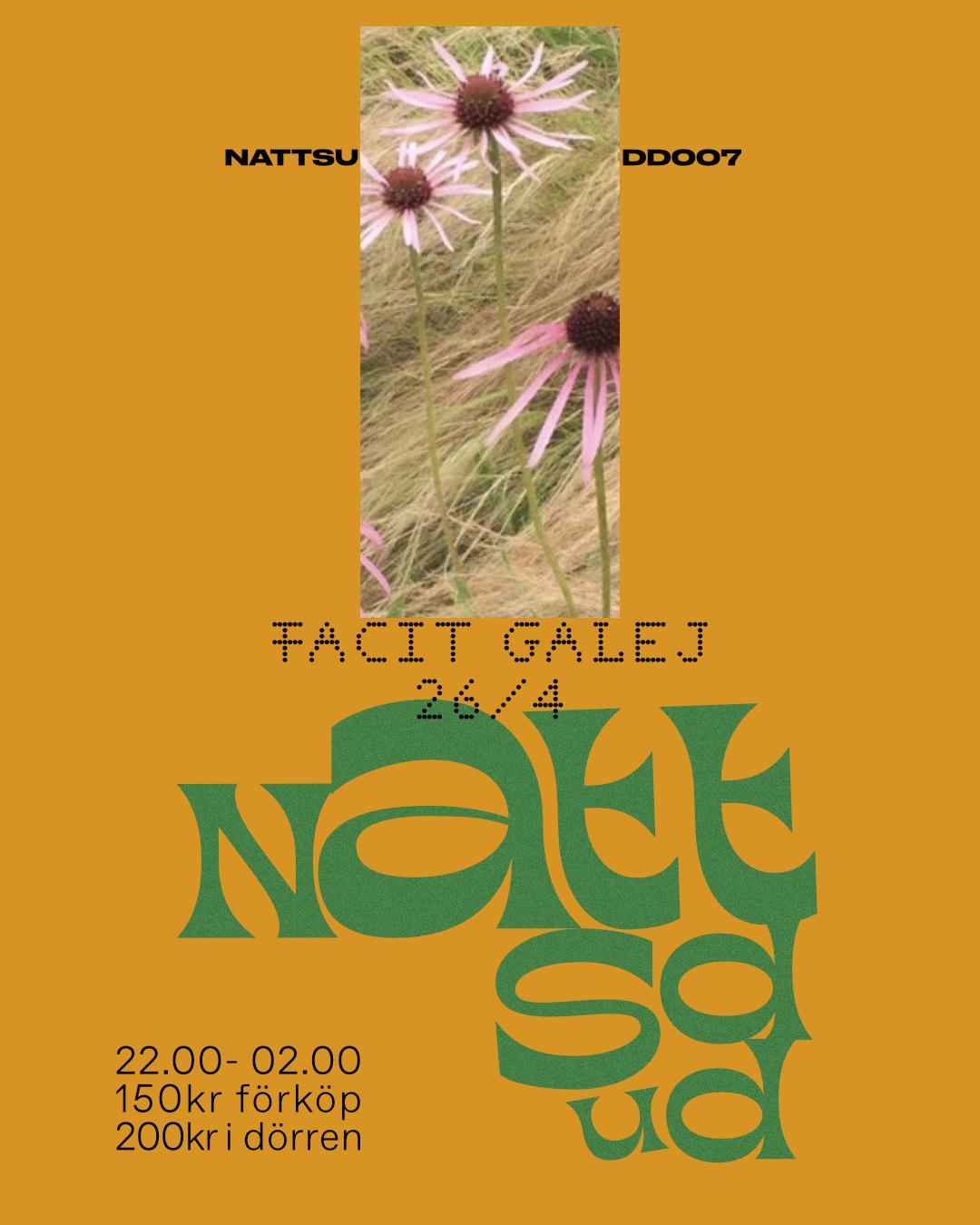 Nattsudd 007