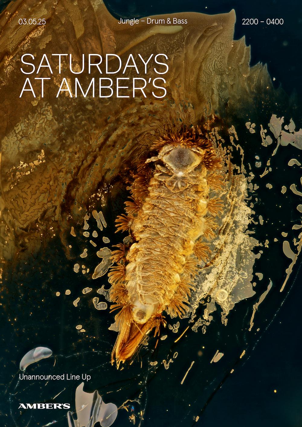 Saturdays At Amber'S: Drum & Bass | Jungle