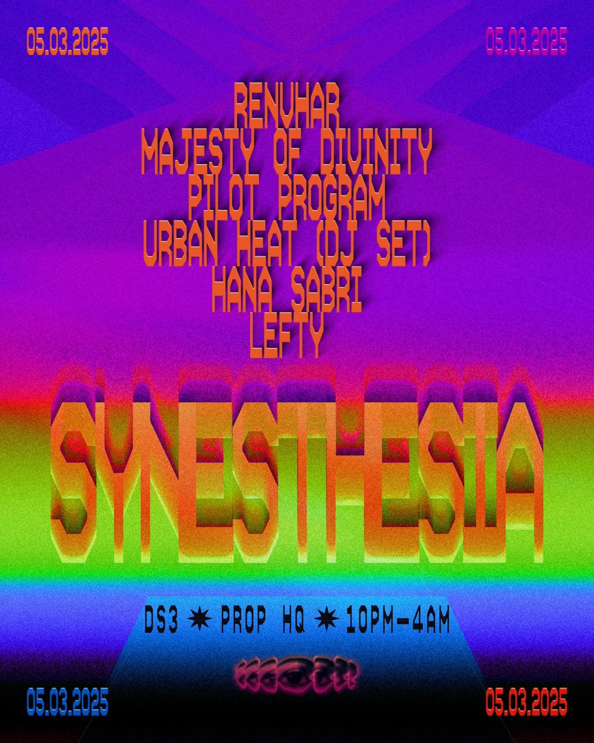 Ds3 Presents - Synesthesia: Sound & Light