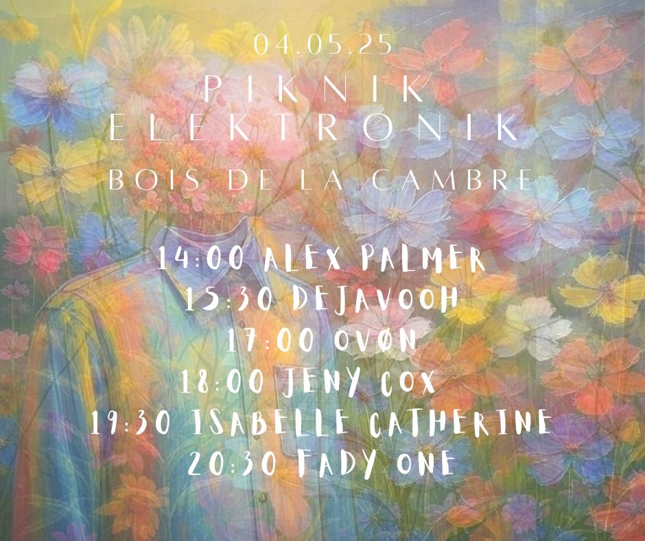 Piknik Elektronik