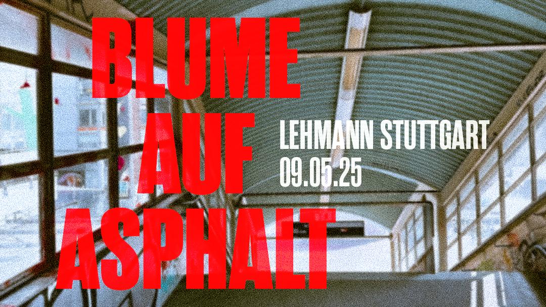 Blume Auf Asphalt Hosted By Kalte Liebe