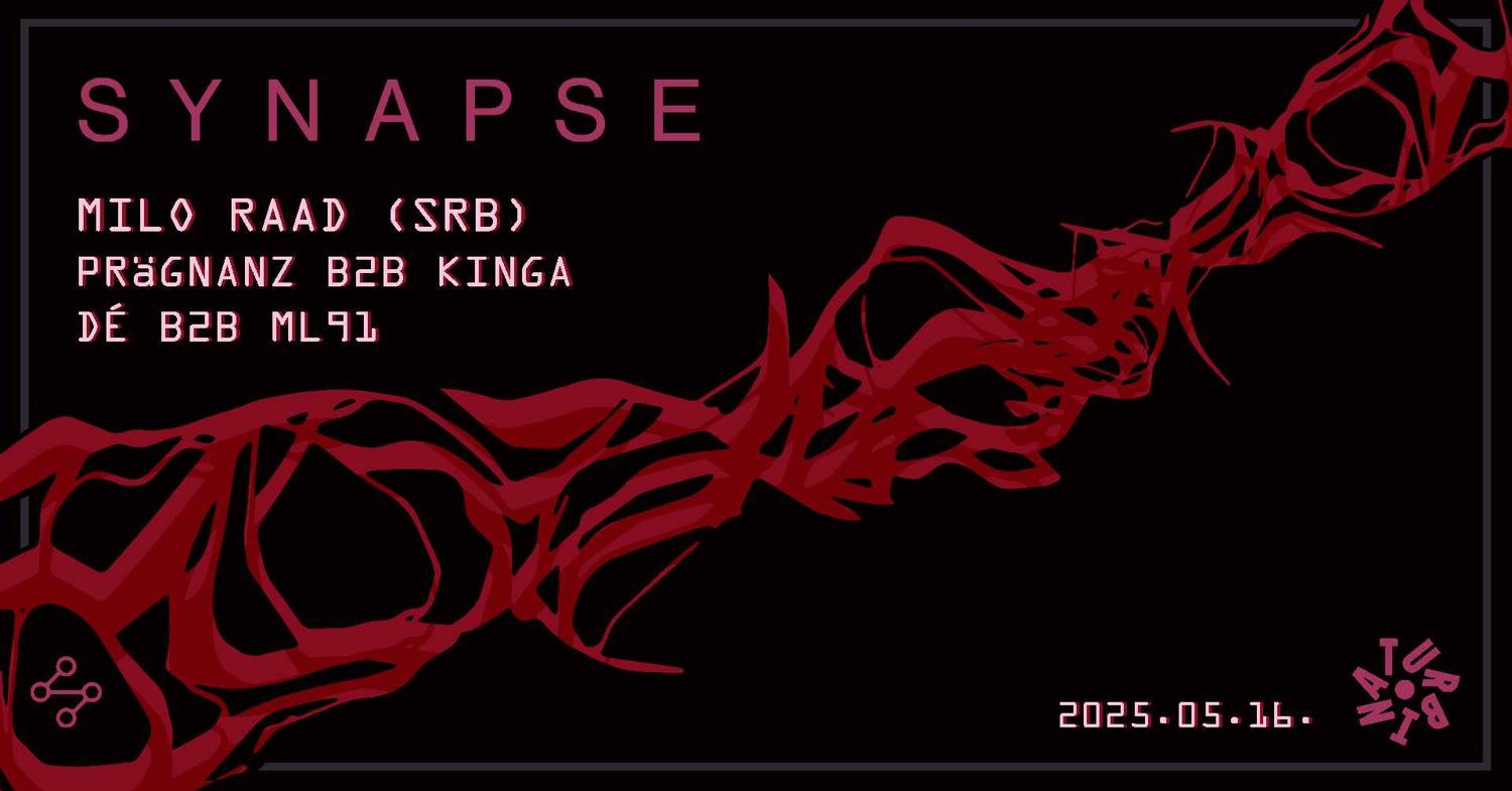 Synapse With Milo Raad, Prägnanz, Kinga, Ml91, Dé