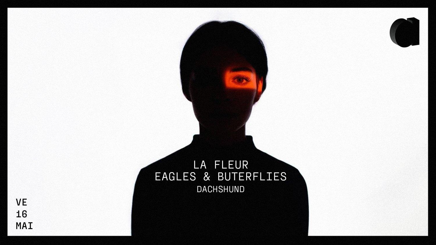 La Fleur · Eagles & Butterflies · Dachshund