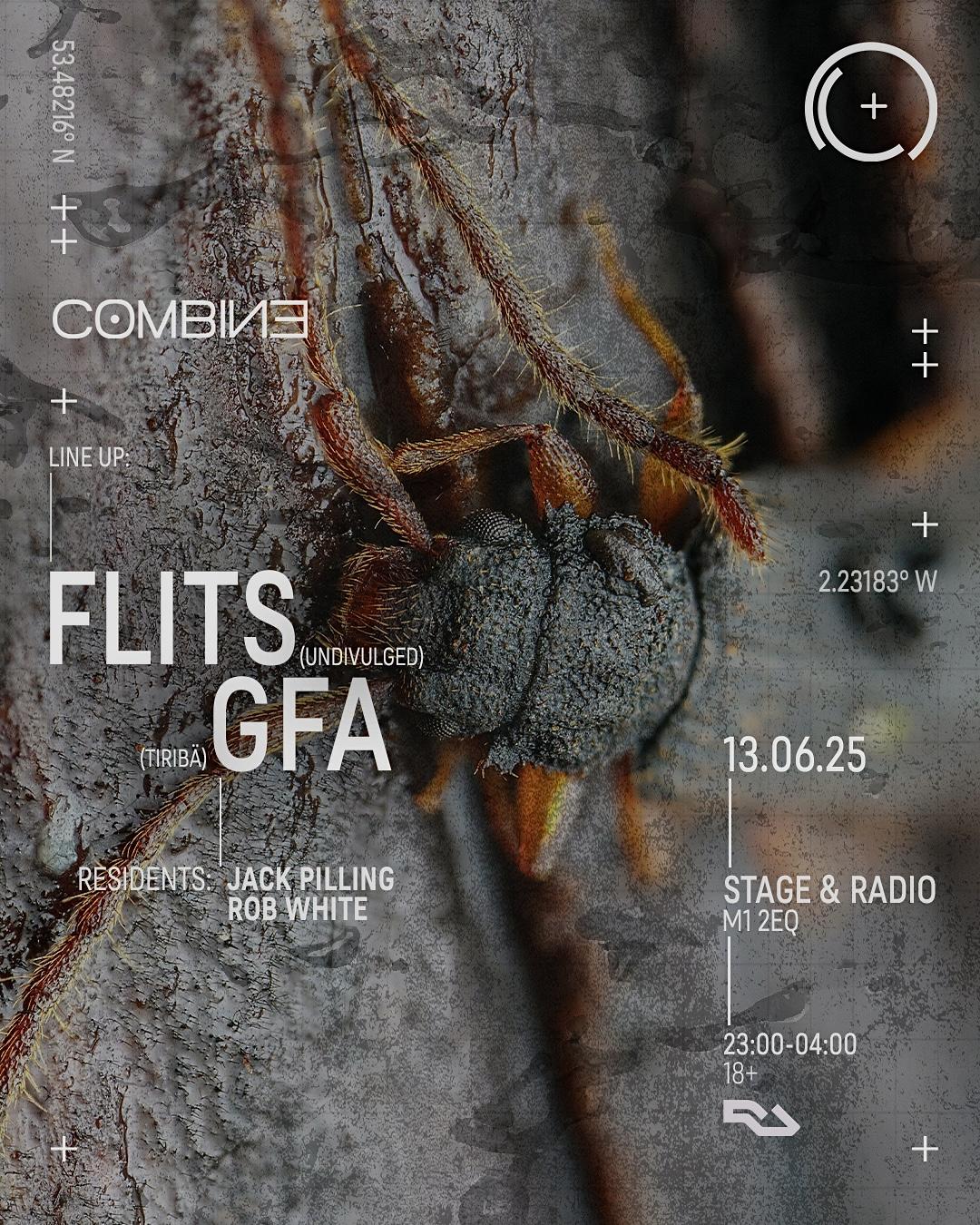 Combine: Flits, Gfa + Residents