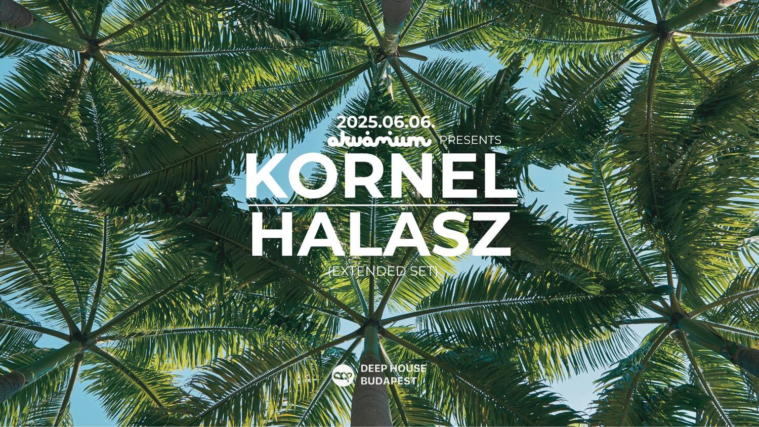 Kornel Halasz // Akvarium Terrace