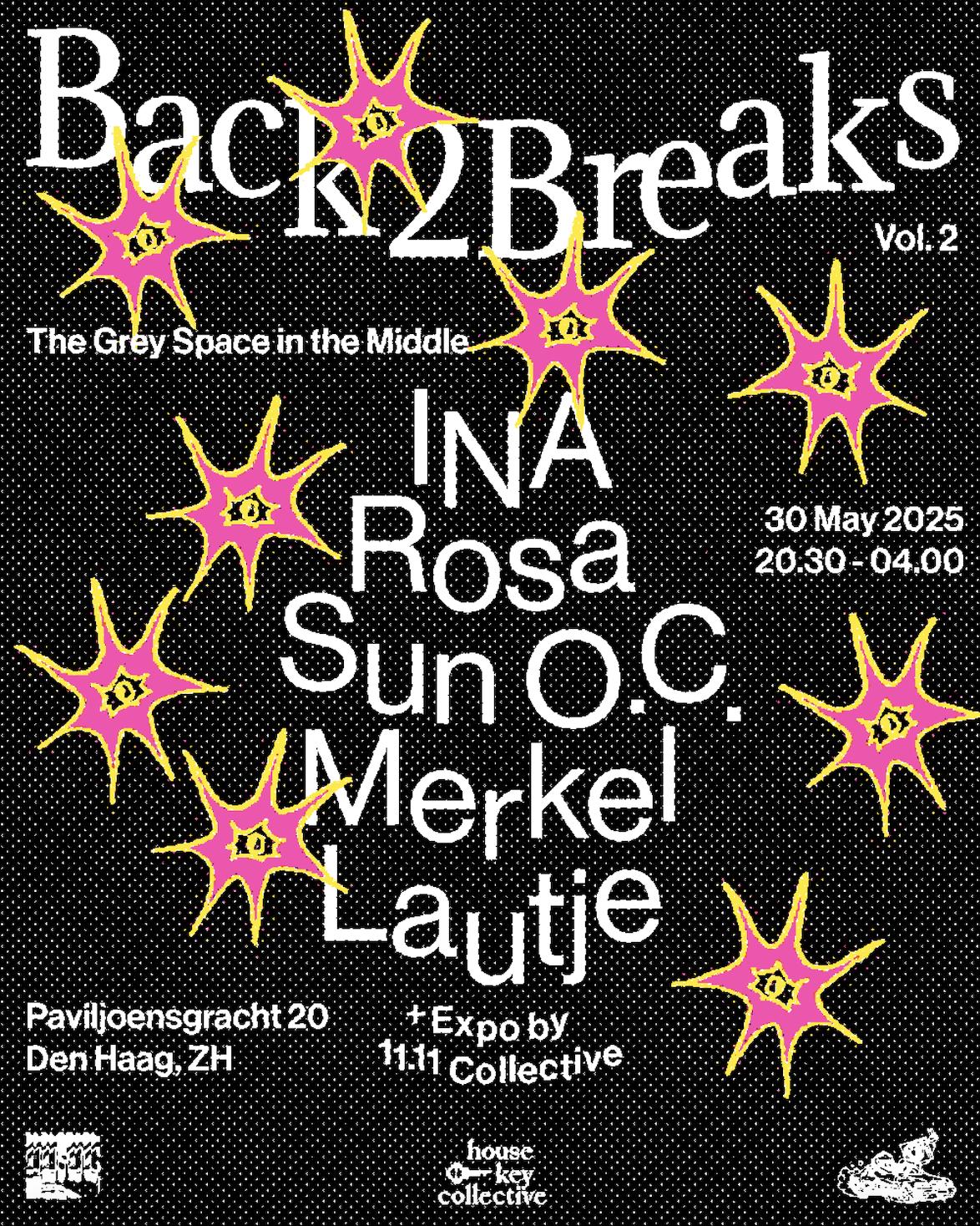 Back2Breaks Vol. 2