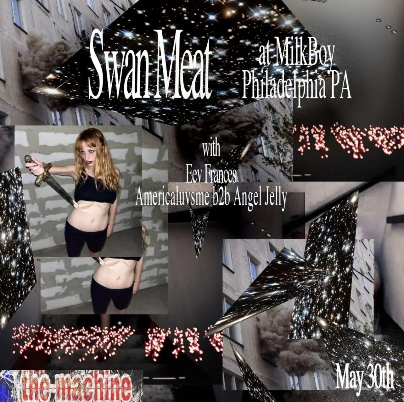 The Machine Presents: Swan Meat