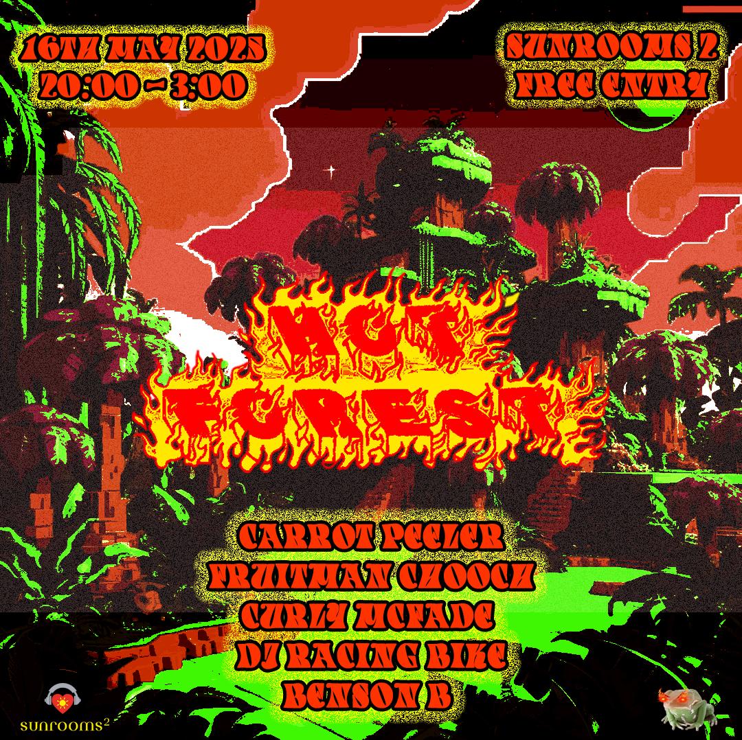 Hot Forest And The Spring Blaze
