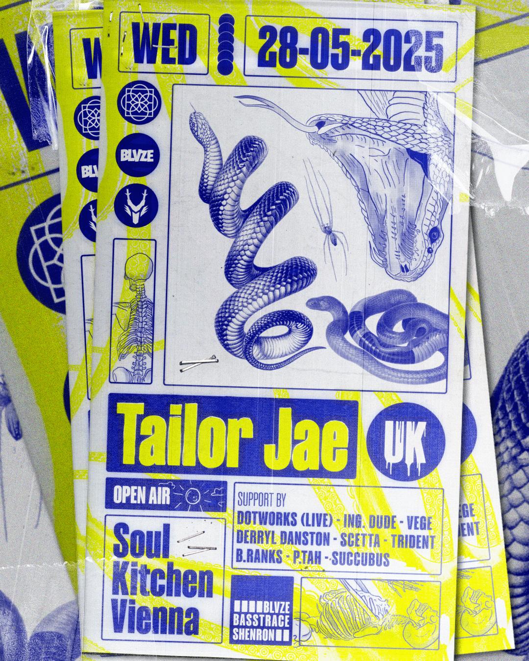 Blvze X Basstrace X Shenron Pres. Tailor Jae // Open Air