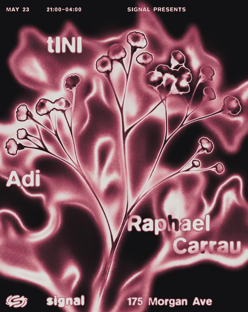 Signal: Tini, Adi, Raphael Carrau, Kiyoshi