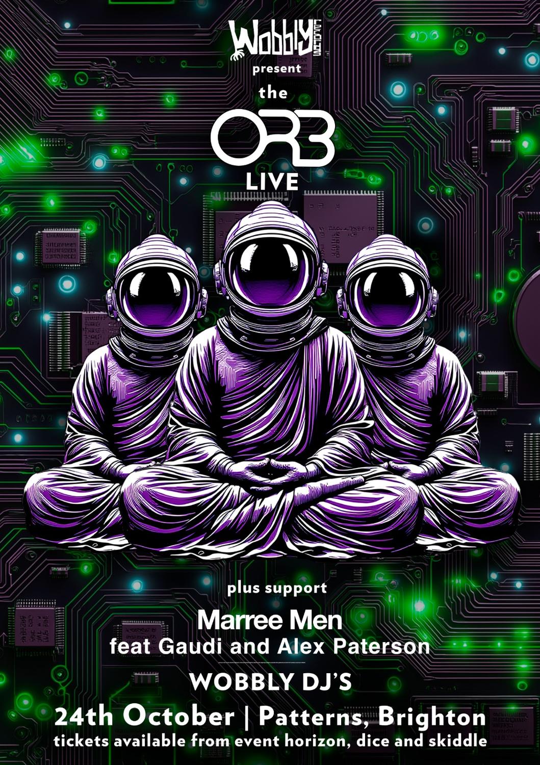 Wobbly Records Presents The Orb - Live