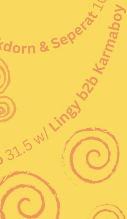 Lingy B2B Karmaboy