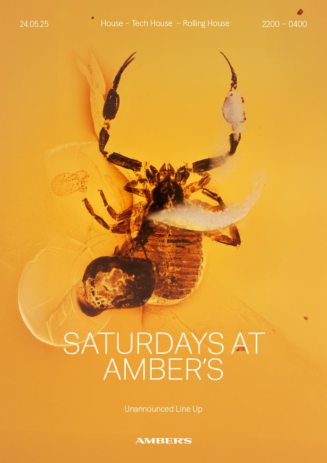 Saturdays At Amber'S: House | Tech House | Rolling House