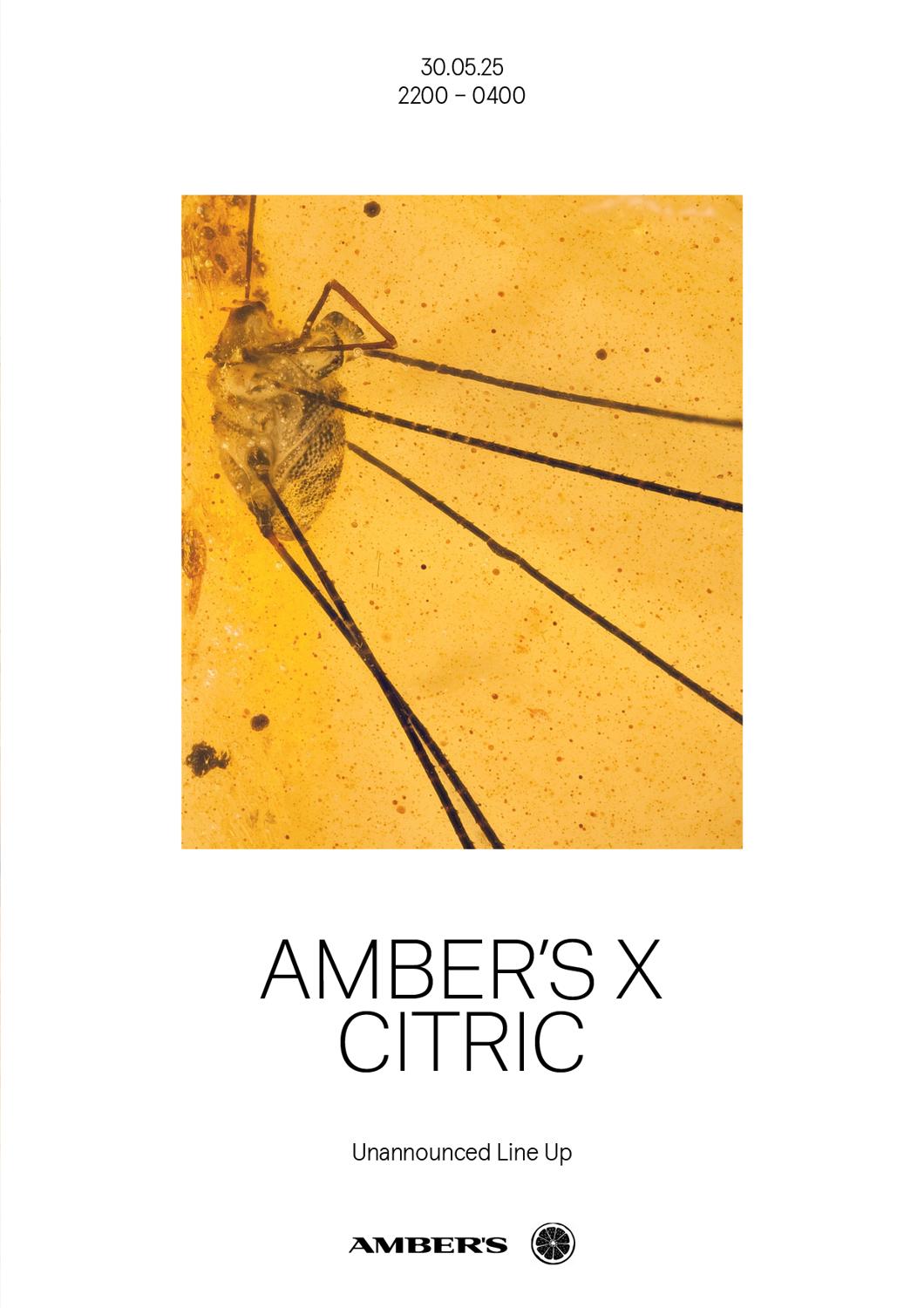 Amber'S X Citric