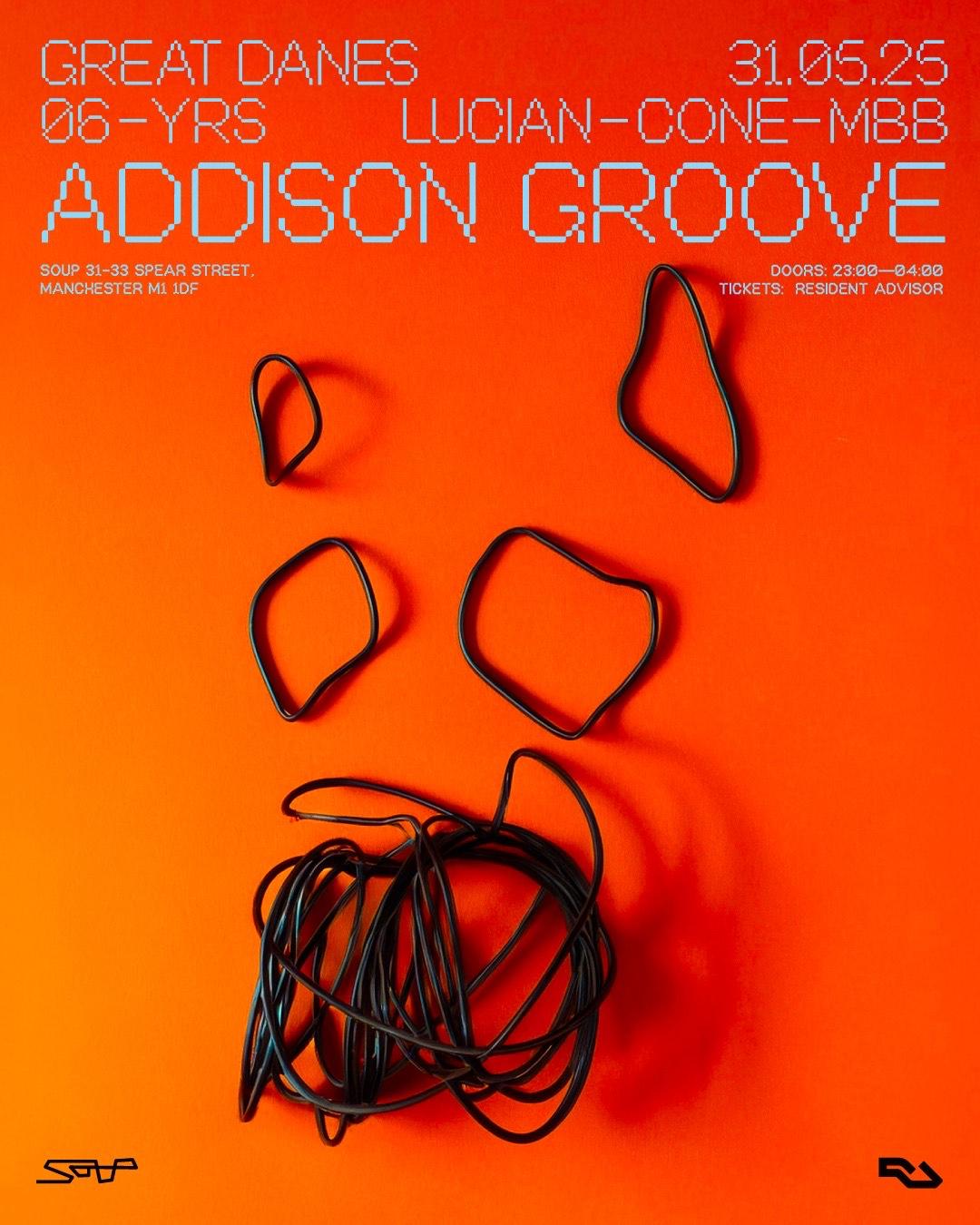 6 Years Of Great Danes With Addison Groove, Residents + Friends