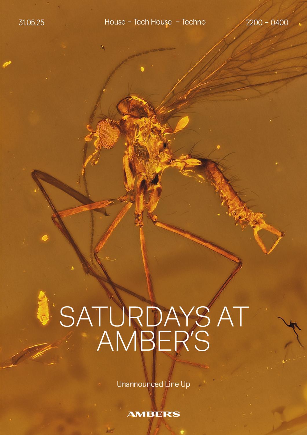 Saturdays At Amber'S: House | Tech House | Techno