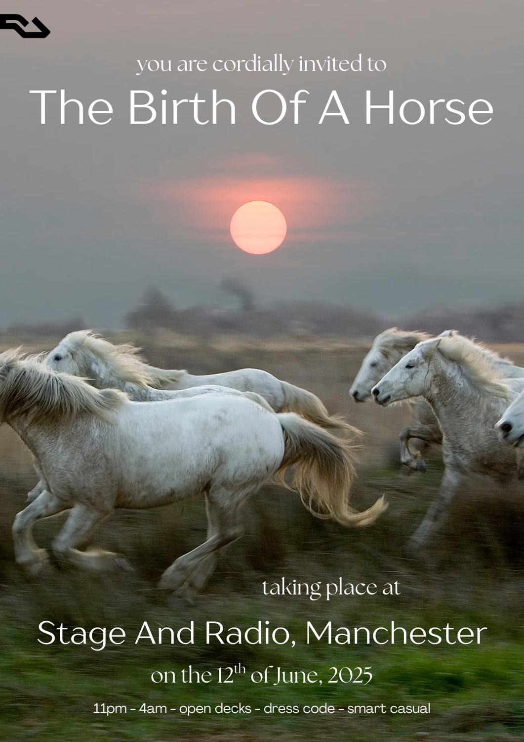 The Birth Of A Horse