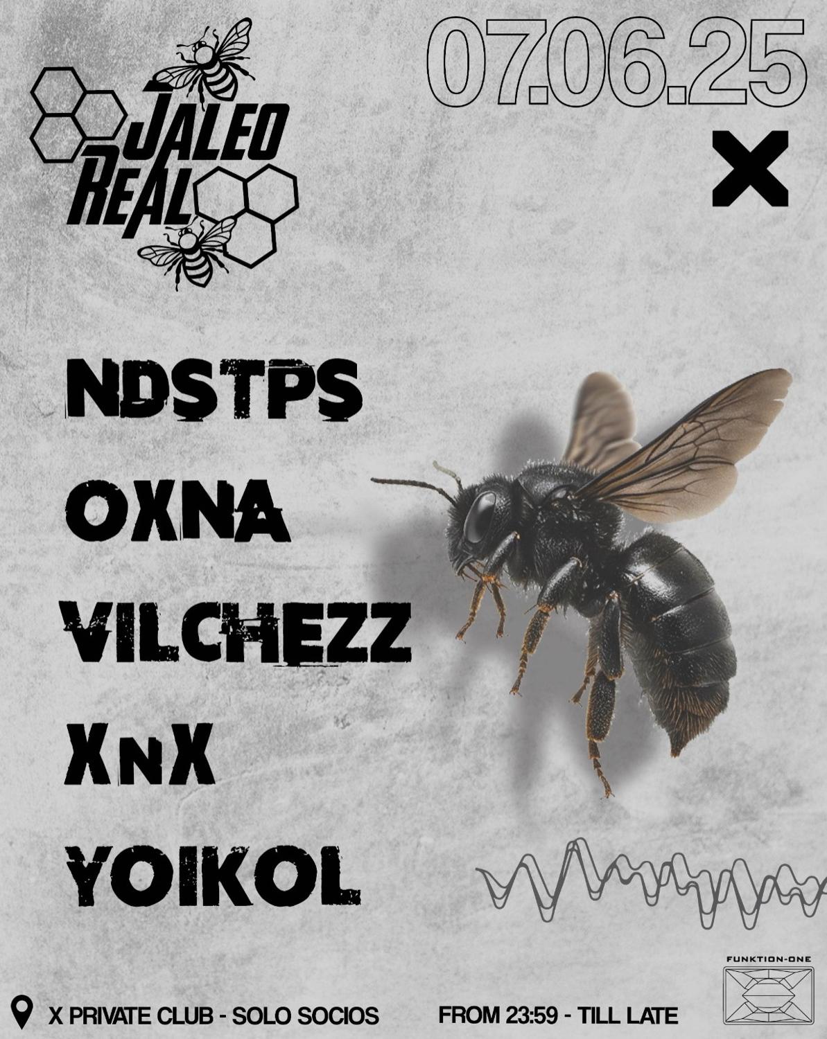 Jaleo Real #047