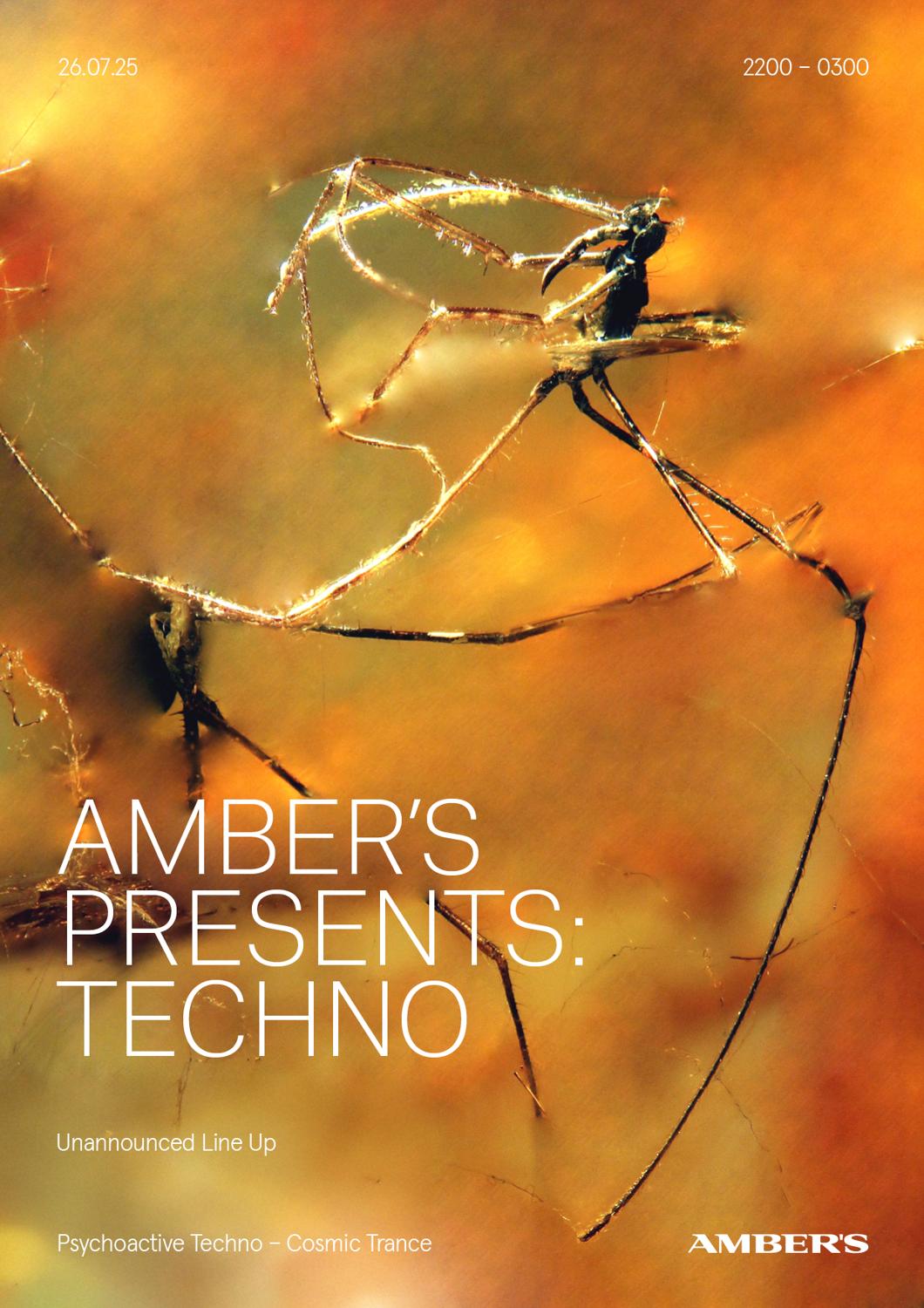 Amber'S Presents: Techno