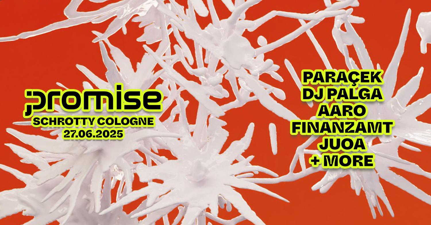 Promise With Paraçek, Dj Palga, Aaro