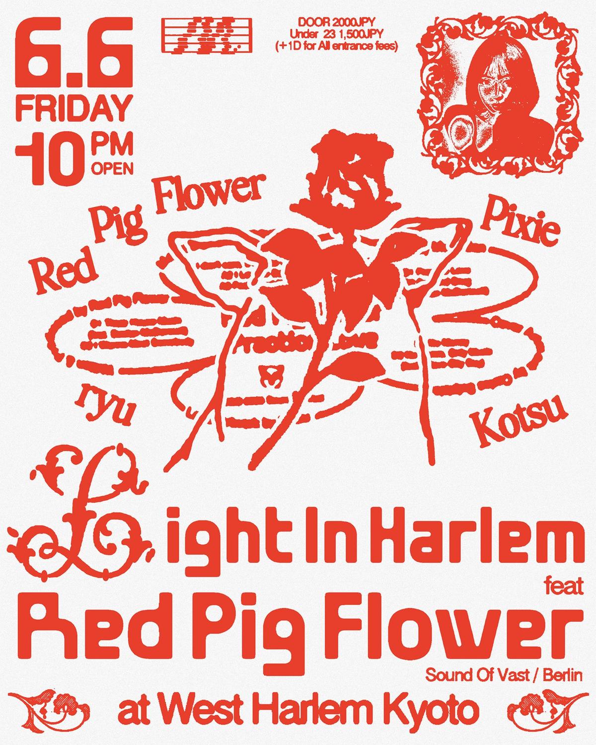 Light In Harlem