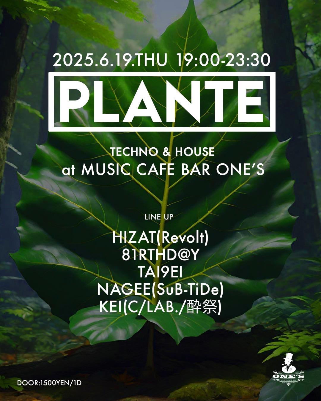 Plante