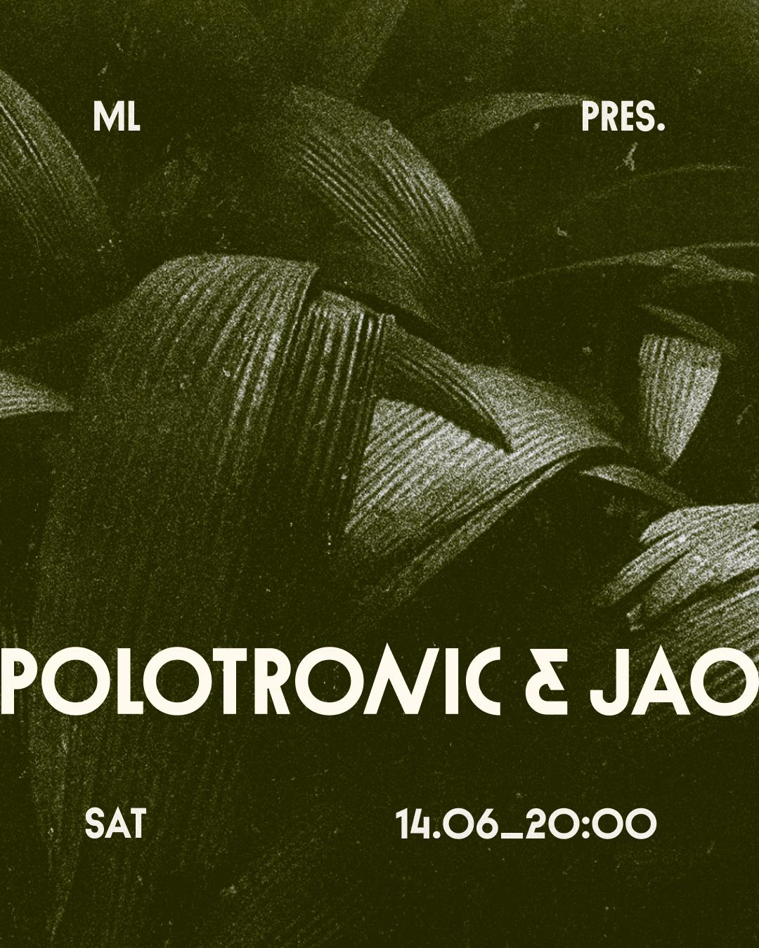 Ml Pres. Polotronic & Jao