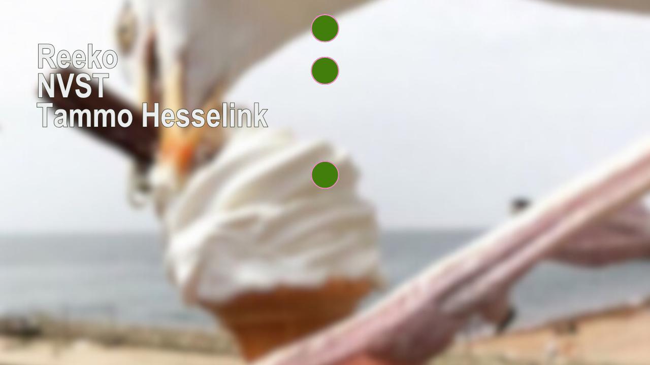 Reeko, Nvst, Tammo Hesselink