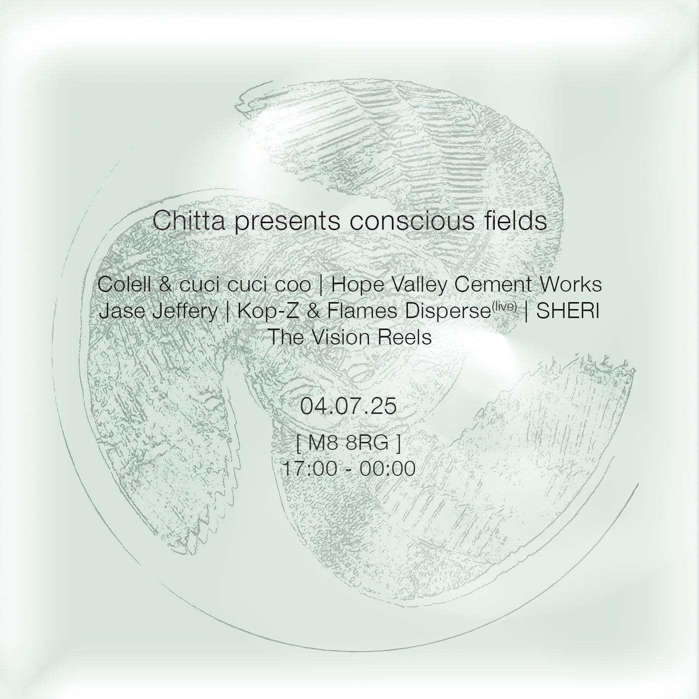 Chitta - Conscious Fields