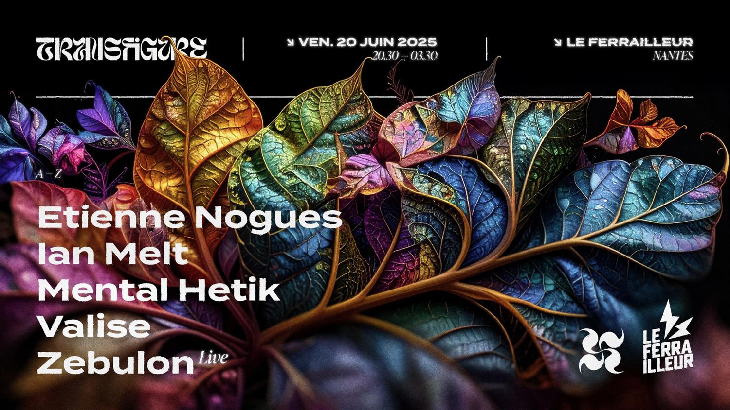 Transfigure · Etienne Nogues, Ian Melt, Mental Hetik, Valise, Zebulon (Live)