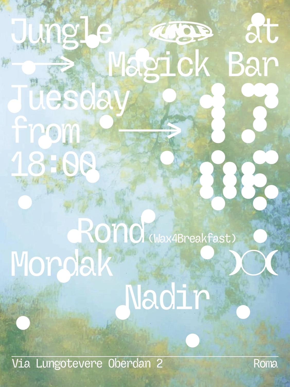 Jungle At Magick Bar