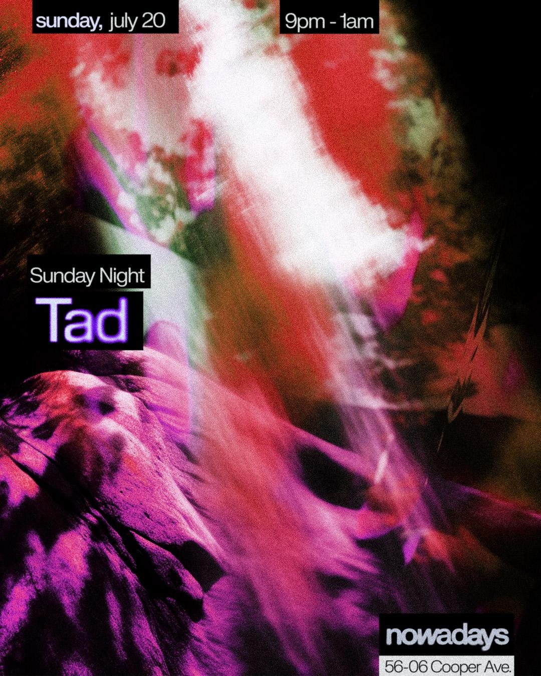 Sunday Night: Tad