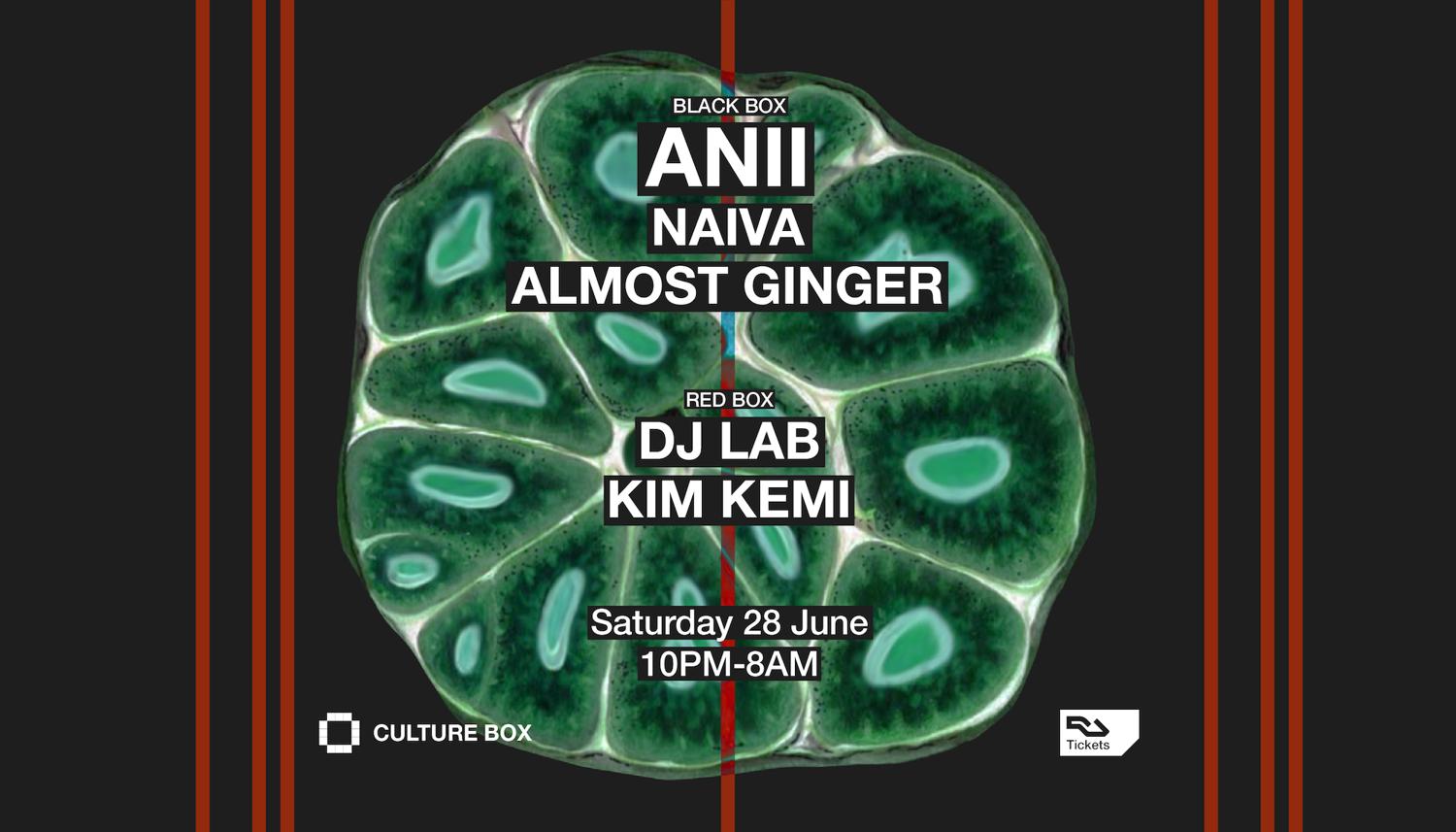 Anii / Naiva / Almost Ginger / Dj Lab / Kim Kemi